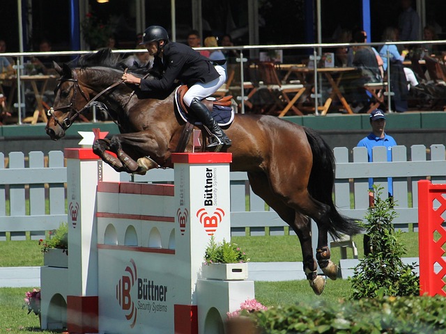 智商所创造 智商所创造