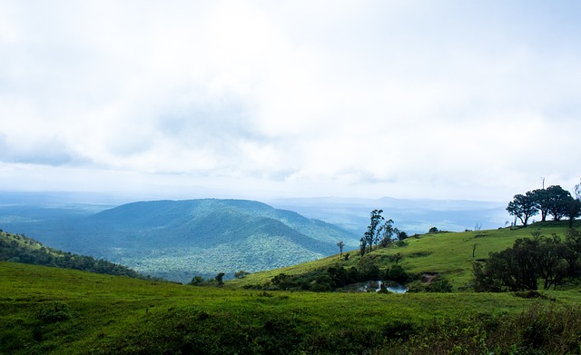 一流的比赛 一流的比赛